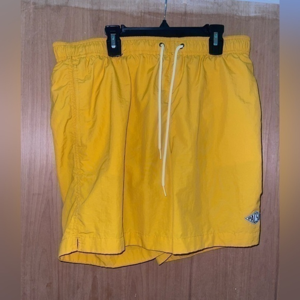 Pacsun shorts